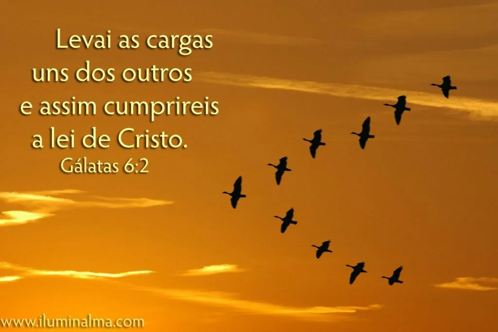 Gálatas 6:2